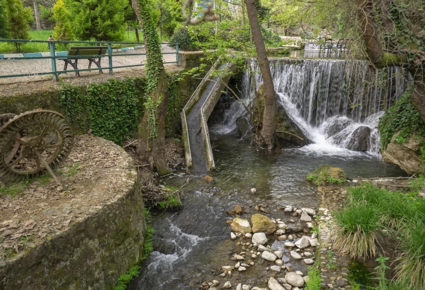Image 7