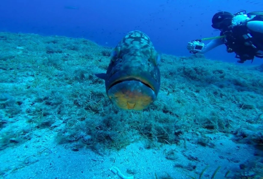 Daily Kas Scuba Diving Tour 4