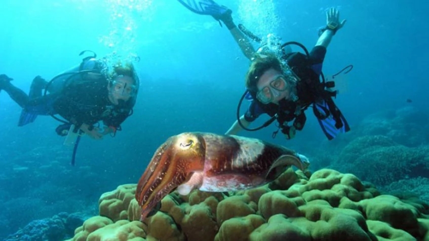 Daily Diving from Kemer Tour 2