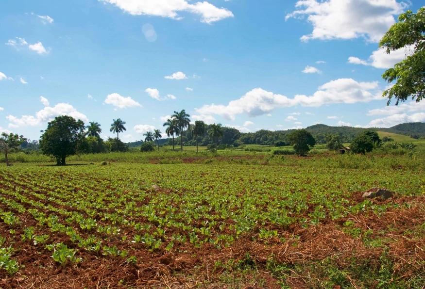 14 Days Experience Cuba Tour from West to East 8
