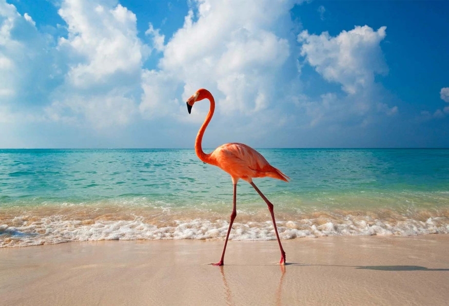 14 Days Experience Cuba Tour from West to East 23