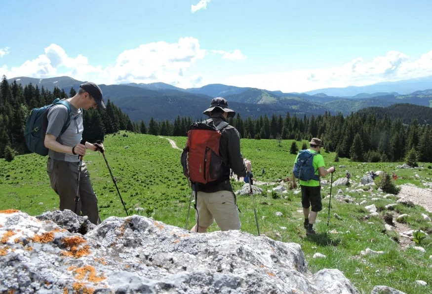 Private Hiking and Bear Watching in the Carpathian 6