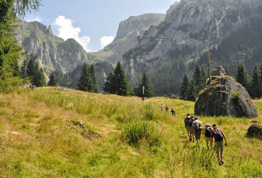 Private Hiking and Bear Watching in the Carpathian 7