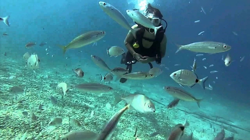 Daily Scuba Diving Tour from Kemer 1