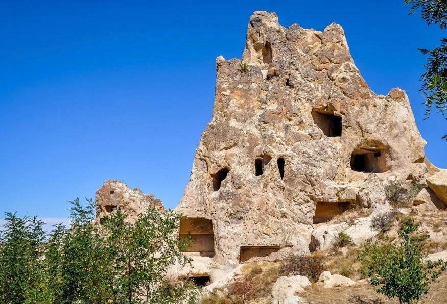 Image 5