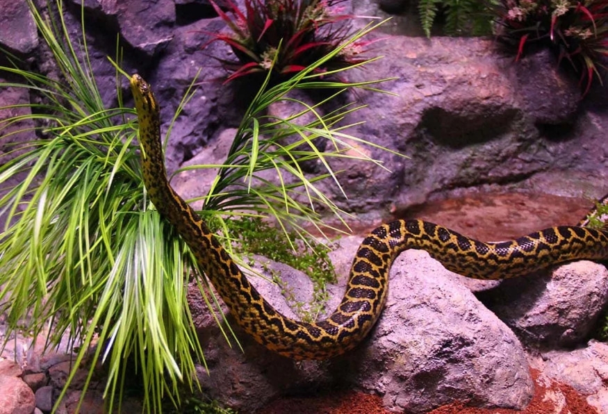 Daily Jungle Park Tour Istanbul – Family Adventure & Wildlife Experience 3