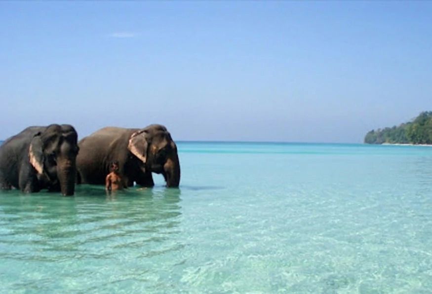 6 Days Magical Andaman Tour 8