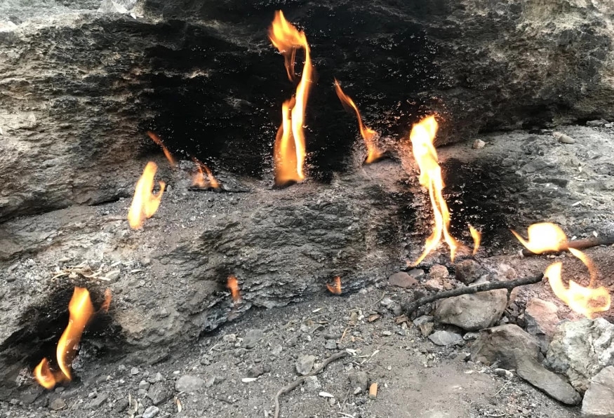 Image 8