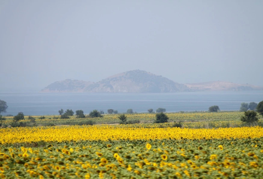 Daily Canakkale City Tour 19
