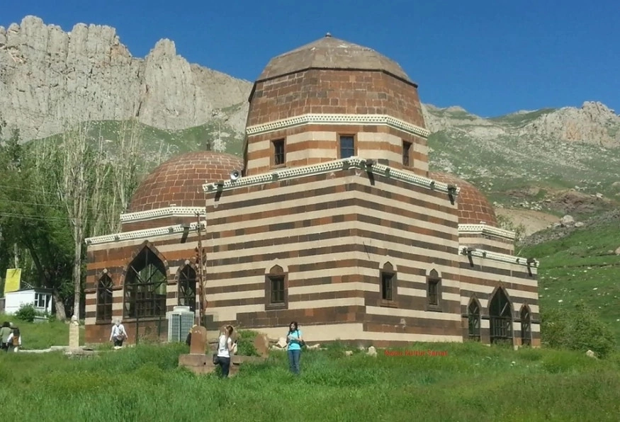 Image 11