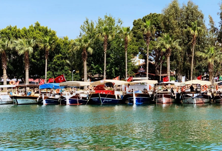 Daily Turtle Clinic Tour from Dalaman 3