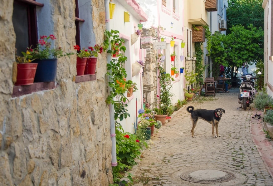 Daily Bozcaada Island Tour from Ayvalik 10