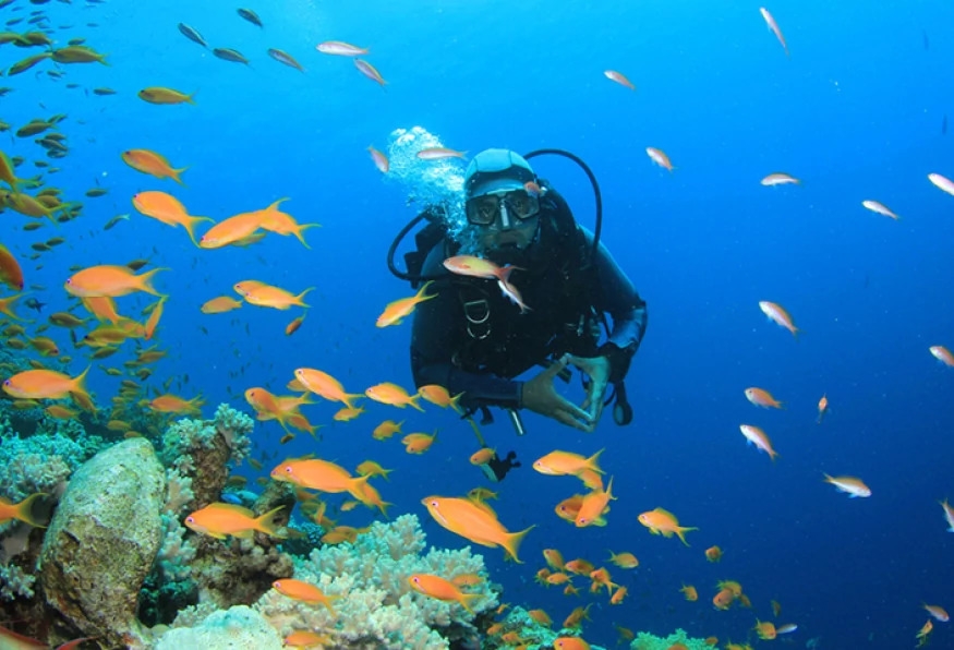 Daily Scuba Diving Tour from Olympos 3