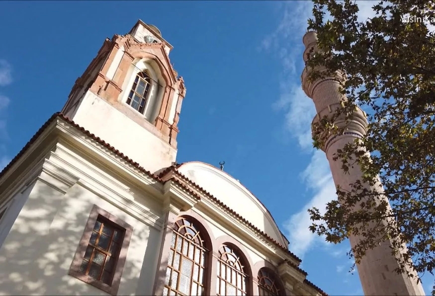 Image 6