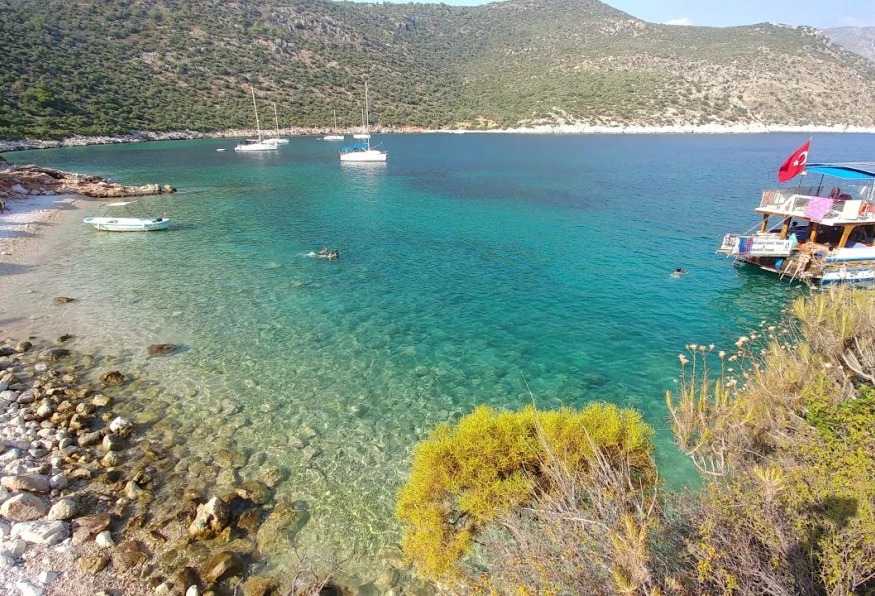 Image 5