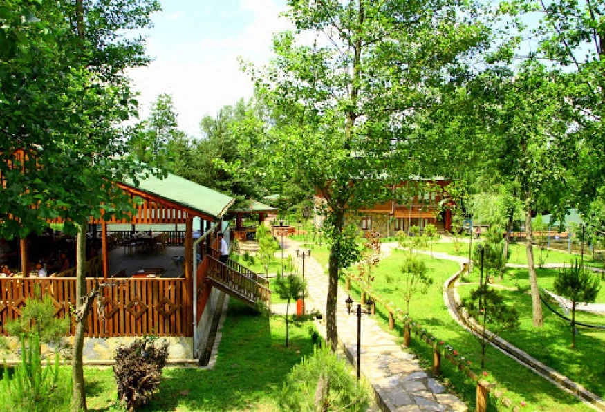 Daily Sapanca Masukiye Tour 2