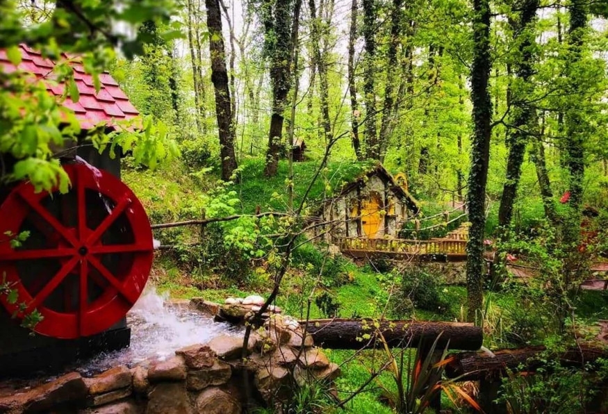 Daily Sapanca Masukiye Tour 8
