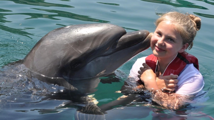 Daily Marmaris Dolphin Show 1
