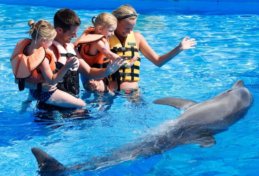 Daily Marmaris Dolphin Show 5