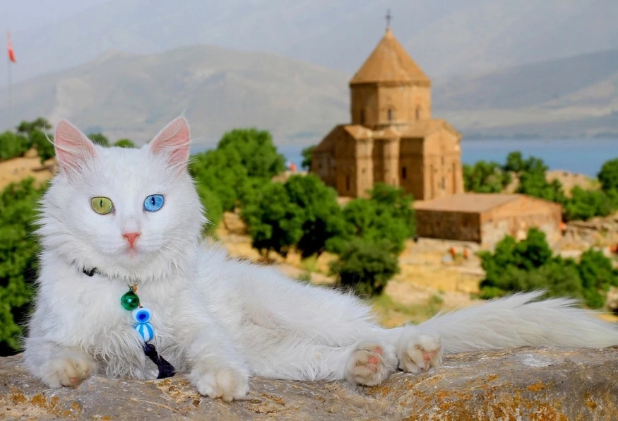 Daily Akdamar Island & Van Lake Tour from Bitlis 4