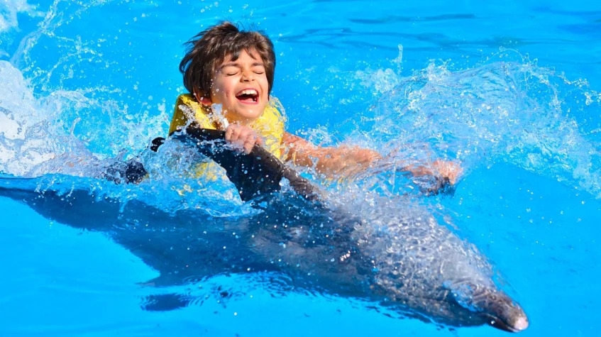 Daily Marmaris Swim With Dolphins 3