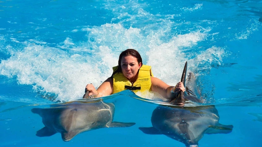 Daily Marmaris Swim With Dolphins 7