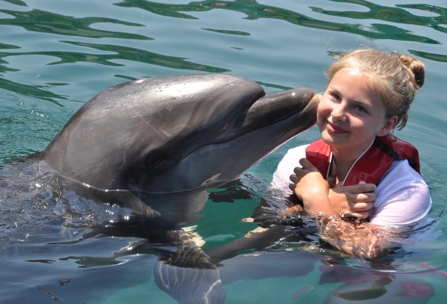 Daily Marmaris Swim With Dolphins 8