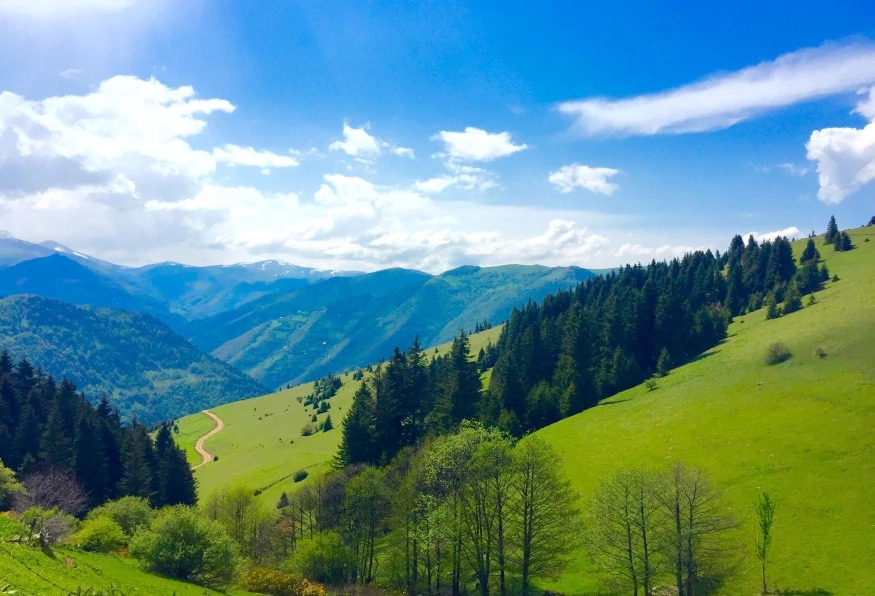 Daily Giresun Kumbet Plateau Tour 6