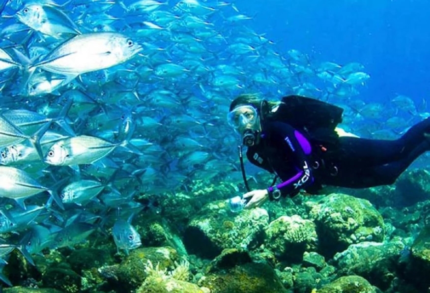 Daily Didim Scuba Diving Tour 4
