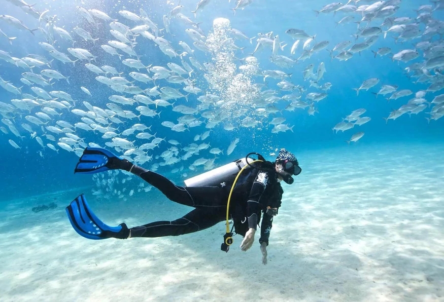 Daily Didim Scuba Diving Tour 6