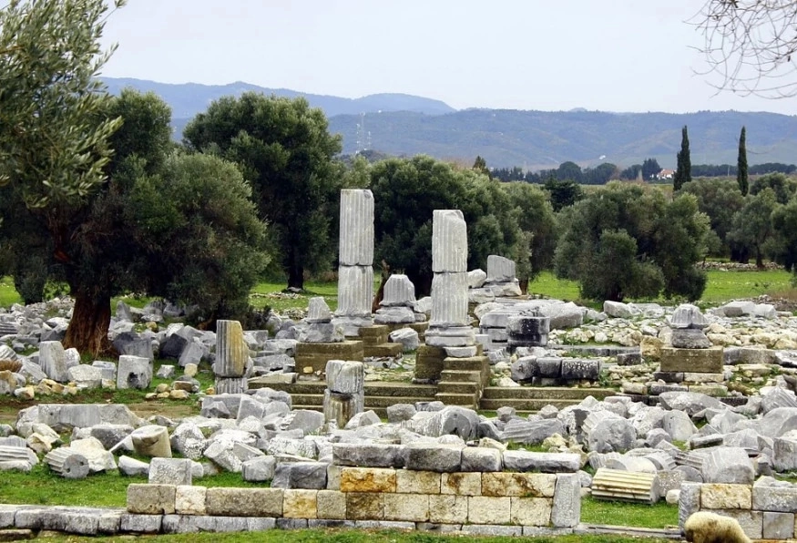Image 2
