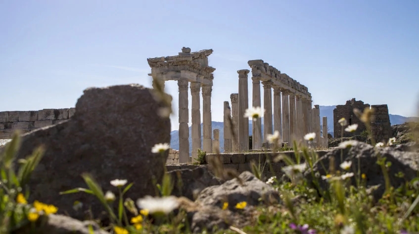 Daily Pergamon Tour from Izmir 5
