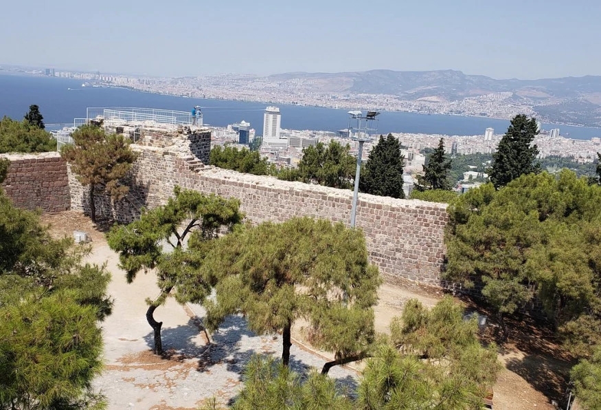 Image 7