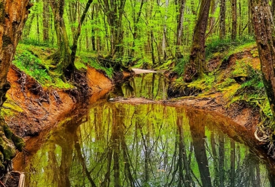 Daily Igneada Trekking Tour from Kirklareli 5