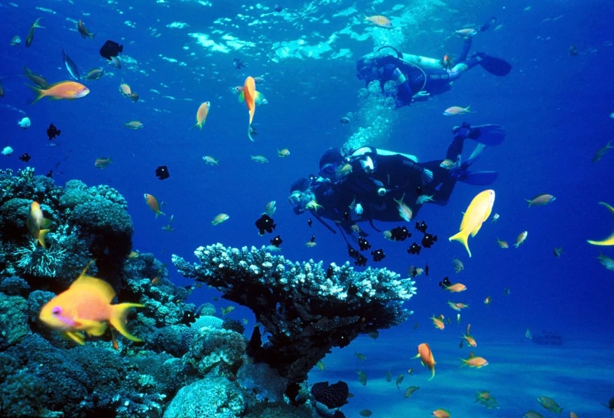 Daily Scuba Diving Tour from Selcuk 1