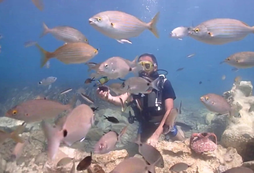 Daily Scuba Diving Tour from Selcuk 2