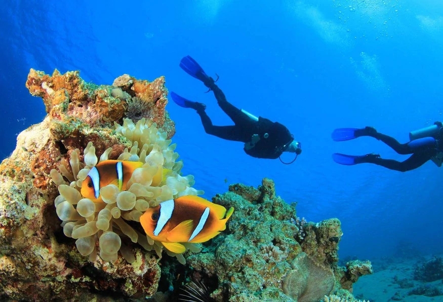 Daily Scuba Diving Tour from Selcuk 3