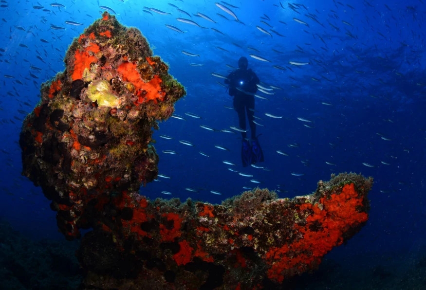 Daily Scuba Diving Tour from Selcuk 5