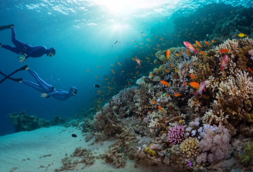 Daily Scuba Diving Tour from Selcuk 6