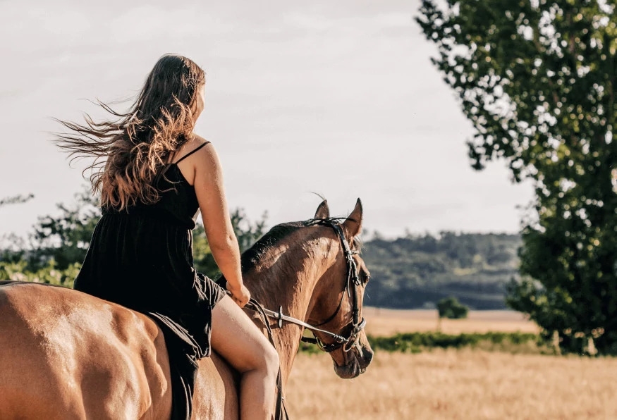 Daily Horse Safari Tour from Selcuk 1