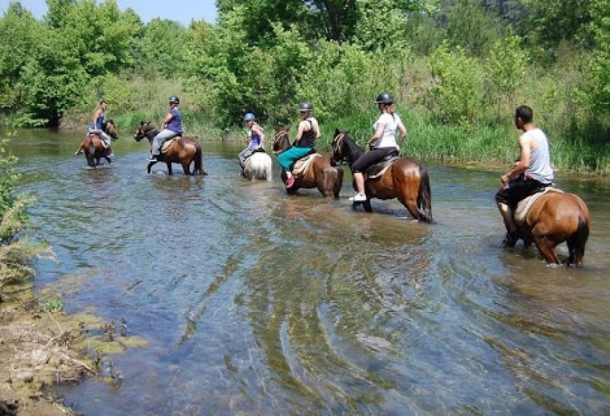 Daily Horse Safari Tour from Selcuk 3
