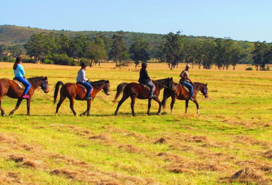 Daily Horse Safari Tour from Selcuk 4