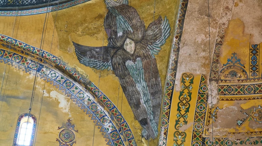 Image 6