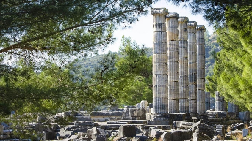 Daily Didyma – Miletos – Priene Tour from Selcuk 6