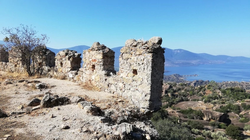 Image 5