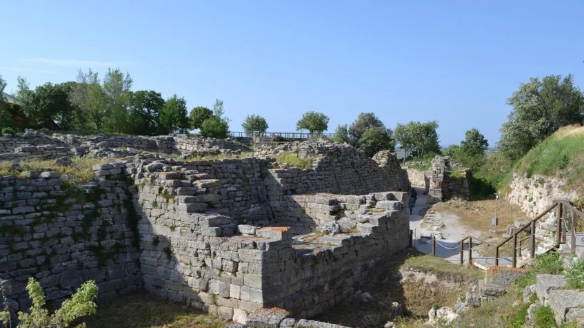 Image 5