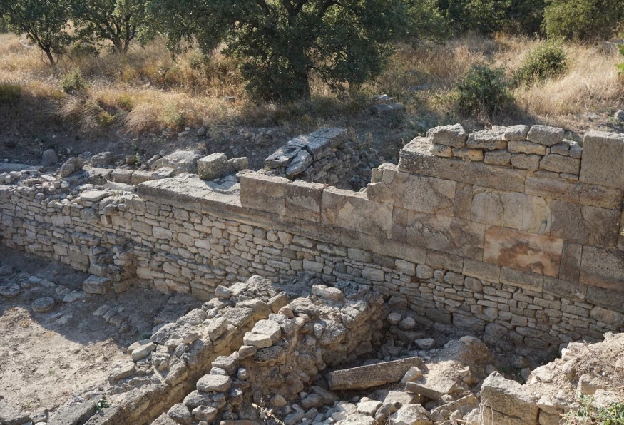 Image 6