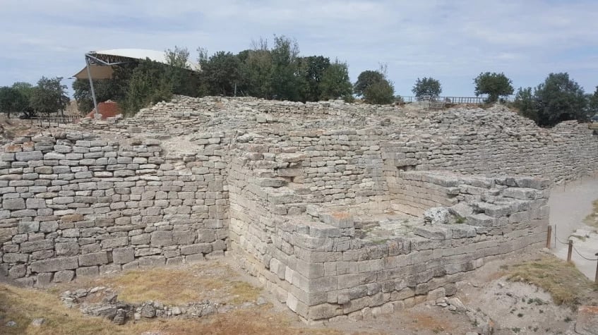 Image 7
