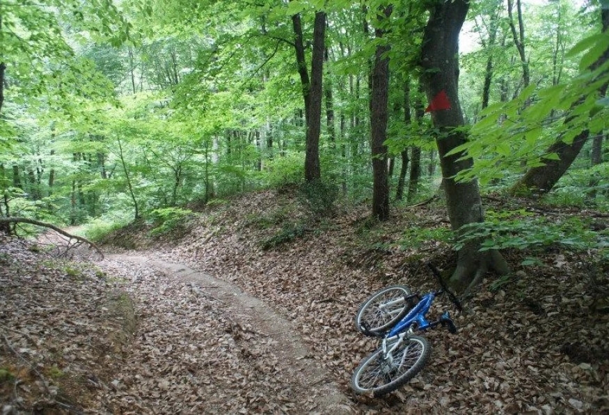 Daily Zonguldak Bicycle Tour 3