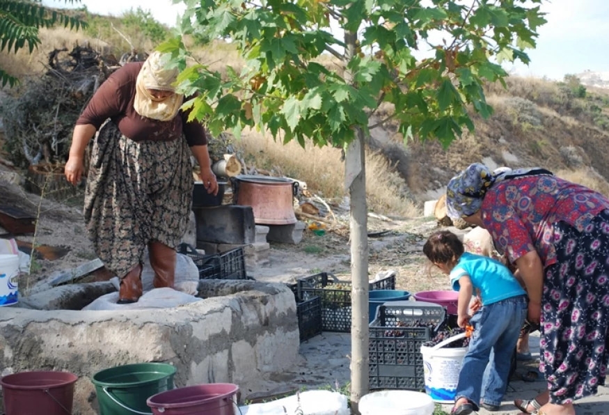 Authentic Cappadocia Grape Harvest & Pekmez Making Tour – Traditional Turkish Food Experience 4